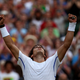 Illustration for article titled A Big, Sweaty Look At Wimbledon So Far